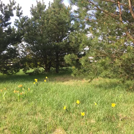 Dom Nad Jeziorem W Otoczeniu Lasow Vila