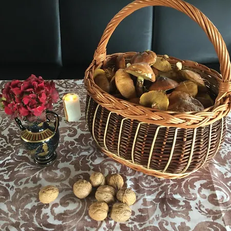 Dom Nad Jeziorem W Otoczeniu Lasow Vila Lipnica (Bytow)