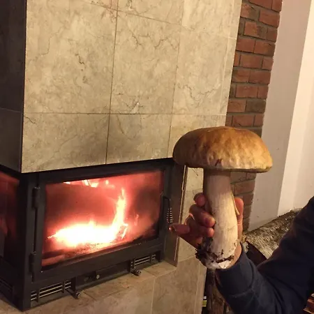 Vila Dom Nad Jeziorem W Otoczeniu Lasow