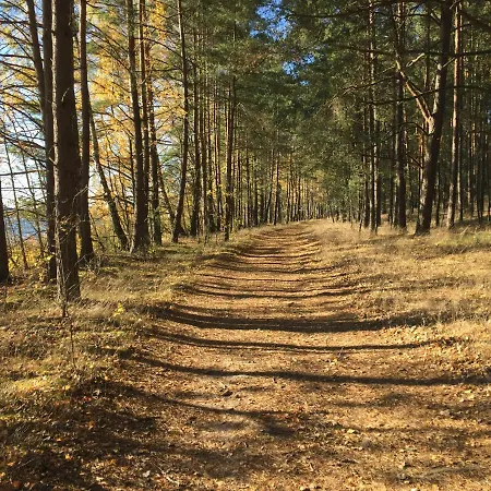 Dom Nad Jeziorem W Otoczeniu Lasow Vila Lipnica (Bytow)